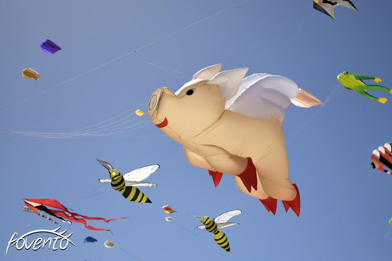 Drachenfestival Fuerteventura November 2023